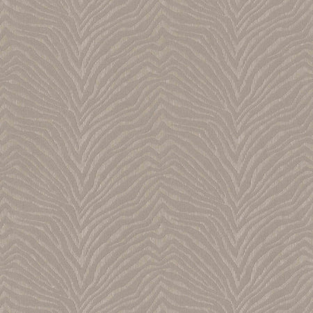 Zebra Crossing | 220532 Wallpaper