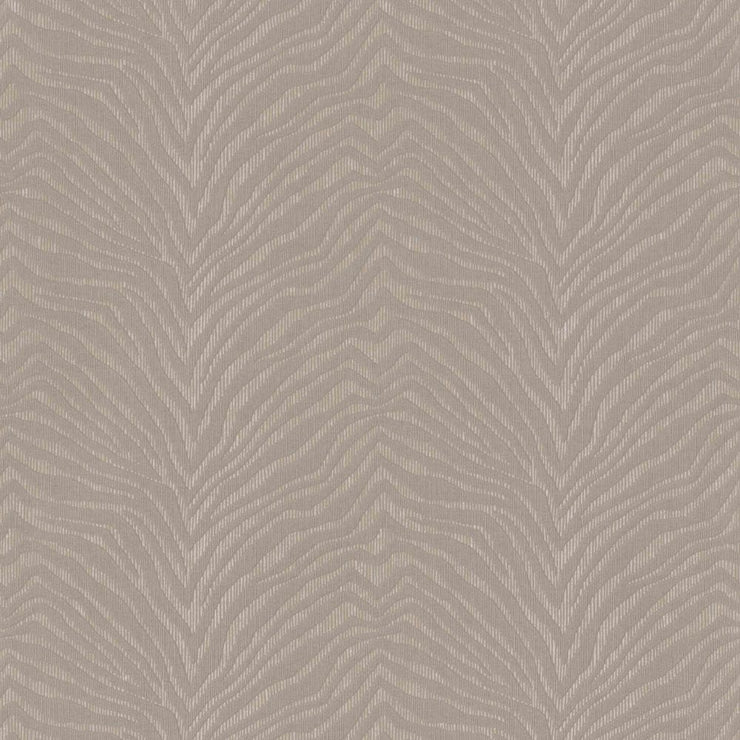 Zebra Crossing | 220532 Wallpaper