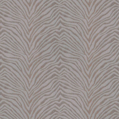 Zebra Crossing | 220534 Wallpaper