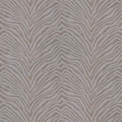 Zebra Crossing | 220534 Wallpaper