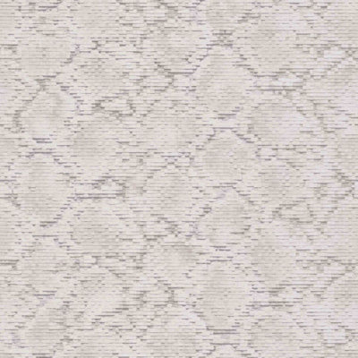 Scaly Python | 220541 Wallpaper