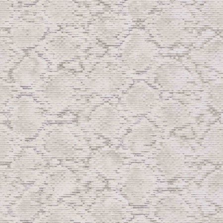 Scaly Python | 220541 Wallpaper