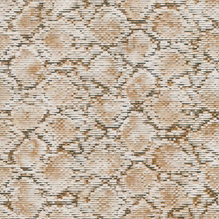 Scaly Python | 220542 Wallpaper