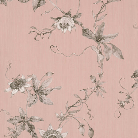 Perfect Passion - Pink Wallpaper