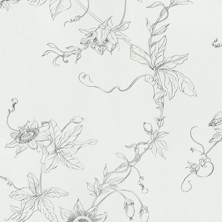 Perfect Passion II - White Wallpaper