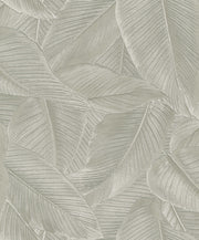 Palms - Green Wallpaper