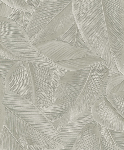 Palms - Green Wallpaper