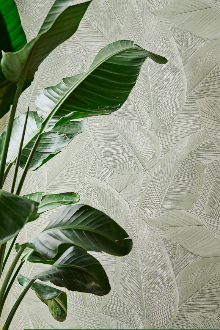 Palms Wallcovering - Green