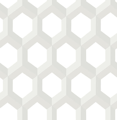 Hex Neutral Geometric Wallpaper Wallpaper