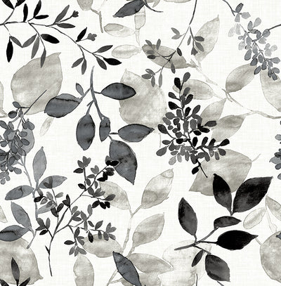Gossamer Black Botanical Wallpaper Wallpaper