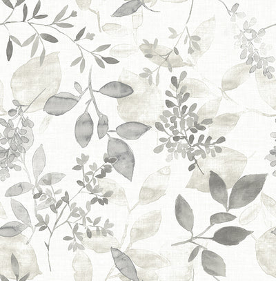 Gossamer Grey Botanical Wallpaper Wallpaper