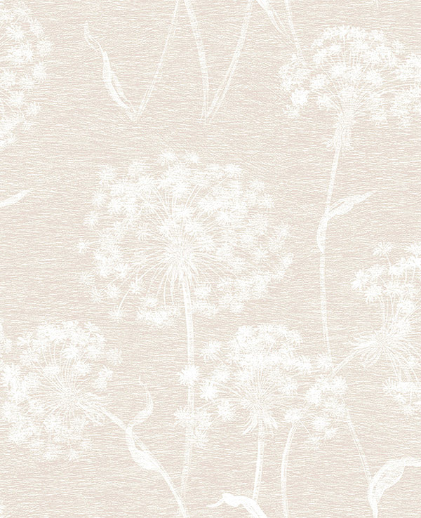 Horatio Cream Dandelion Wallpaper Wallpaper
