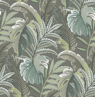 Verdant Dark Grey Botanical Wallpaper Wallpaper