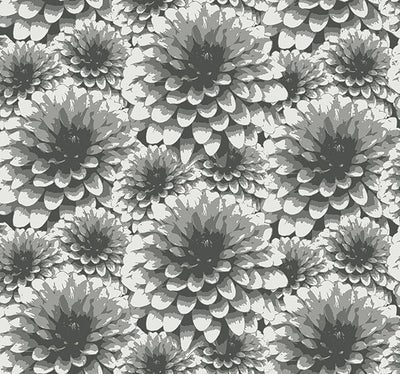 Umbra Charcoal Floral Wallpaper Wallpaper
