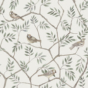 Crossbill Off-White Branches Wallpaper Wallpaper