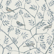 Crossbill Light Blue Branches Wallpaper Wallpaper
