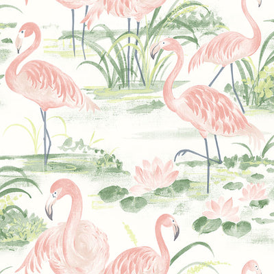 Everglades Coral Flamingos Wallpaper Wallpaper