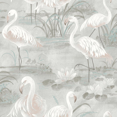Everglades Grey Flamingos Wallpaper Wallpaper