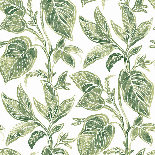 Mangrove Green Botanical Wallpaper Wallpaper