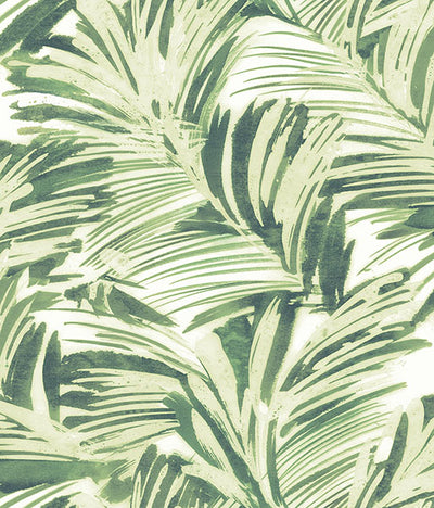 Chaparral Green Fronds Wallpaper Wallpaper
