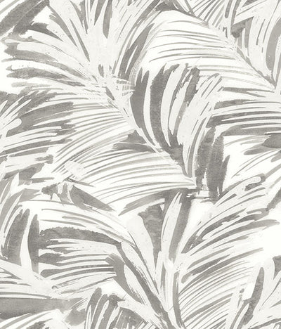 Chaparral Grey Fronds Wallpaper Wallpaper
