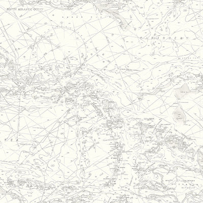 Charts Grey Map Wallpaper Wallpaper