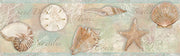 Quinten Brown Shells Border Wallpaper