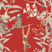 Drunk Monkeys - Sangria Wallpaper