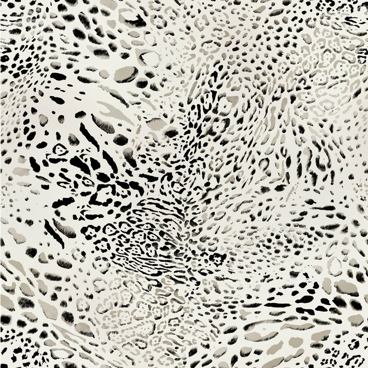 Snow Leopard - Frost Wallpaper