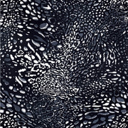 Snow Leopard - Midnight Wallpaper