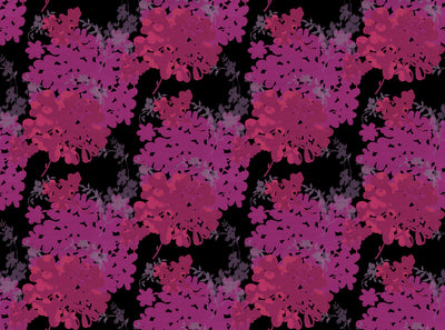 Morning Light - Magenta Wallpaper