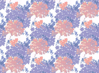 Morning Light - Dawn Wallpaper