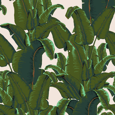 Banana Leaf - Burro Wallpaper