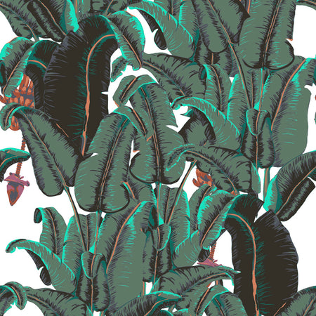 Banana Leaf - Manzano Wallpaper