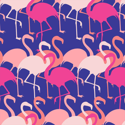 Flamingo - Miami Wallpaper