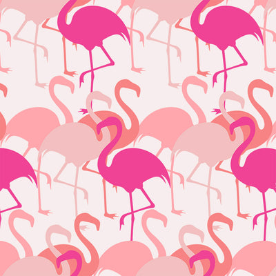 Flamingo - Pink Wallpaper