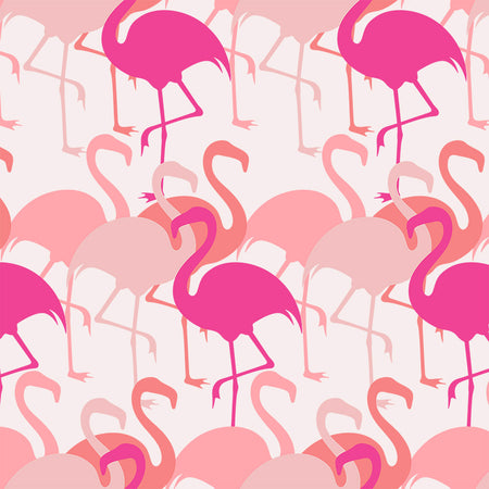 Flamingo - Pink Wallpaper