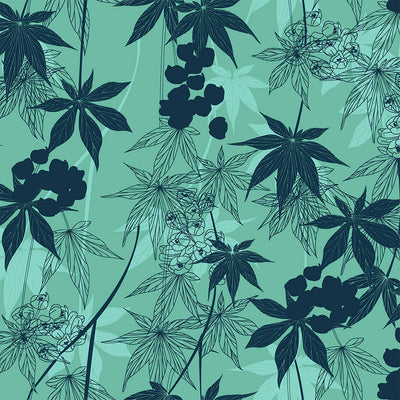 Japanese Maple - Fickle Wallpaper