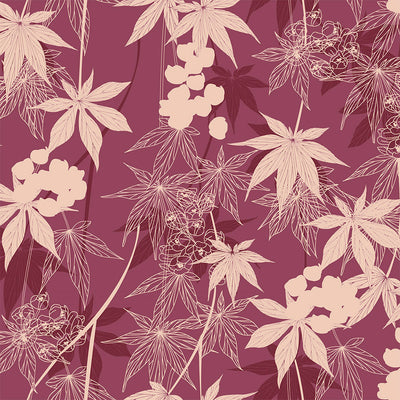 Japanese Maple - Flighty Wallpaper