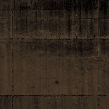 Wilshire - Sepia Mural