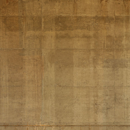 Hyperion - Tawny Mural