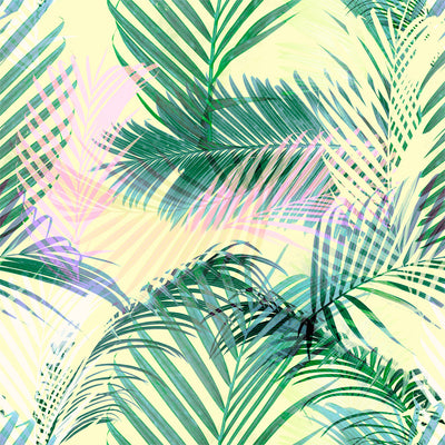 Palm Selleck - Kauai Wallpaper