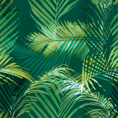 Palm Selleck - Molokai Wallpaper