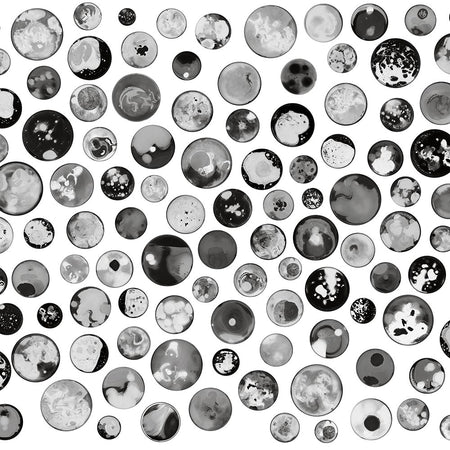 Petri - Panacea Mural