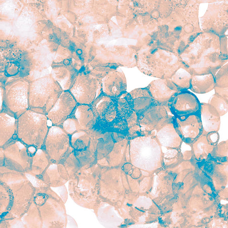 Reverie - Effluvium Mural