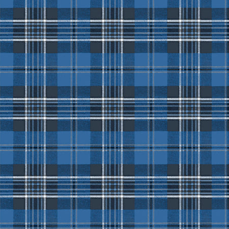 Edinburgh - Snowfall Wallpaper