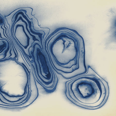 Nara - Absolute Mural