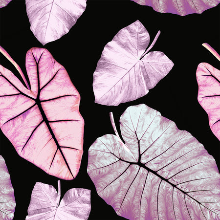 Alocasia - Petal Wallpaper