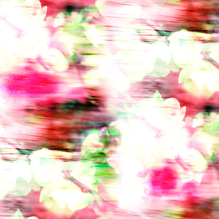 Obscura - Midsummer Wallpaper