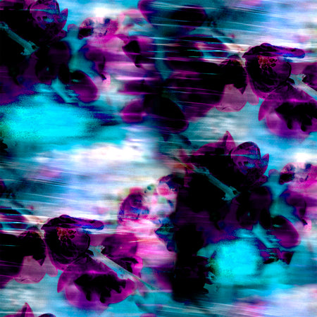 Obscura - Nightshade Wallpaper